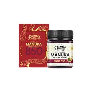 Barnes Natural 500g Jar Manuka Honey MGO850+ Single Giftbox Year of Snake Carton 2x4 (Excluding WA)