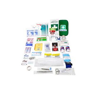 Livingstone Comprehensive Travel First Aid Kit In Green Pouch Bundle